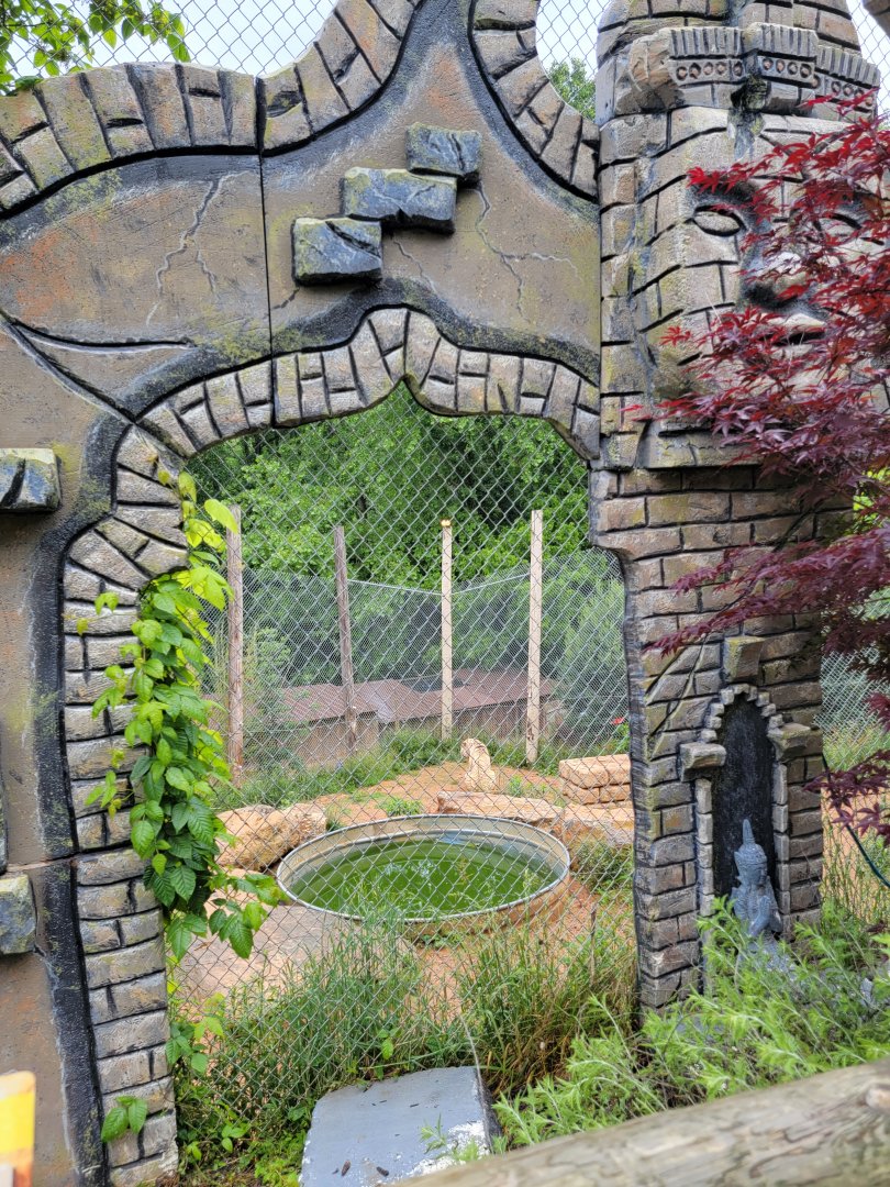 Creation Kingdom - Tiger (white)