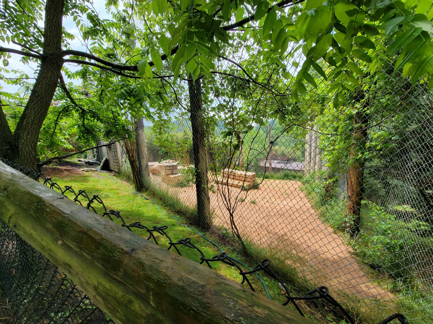 Creation Kingdom - Tiger yard