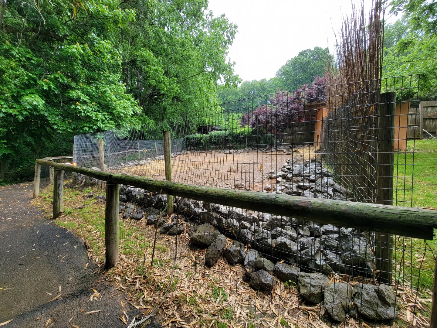 Creation Kingdom - Warthog, African crested porcupine