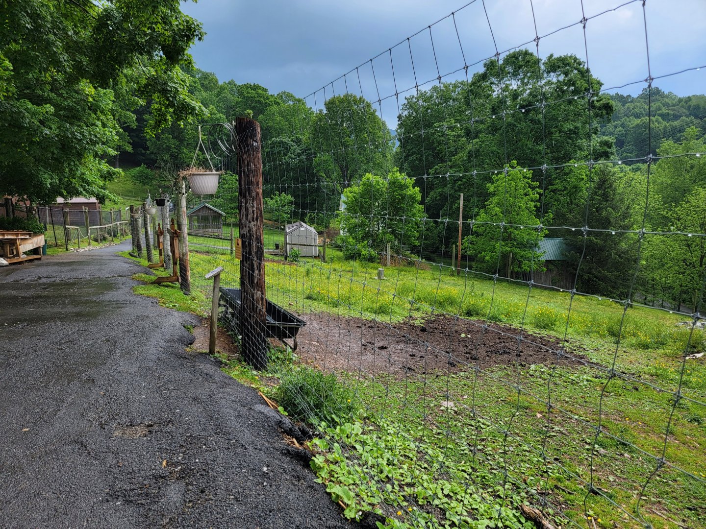 Creation Kingdom - Wildebeest yard