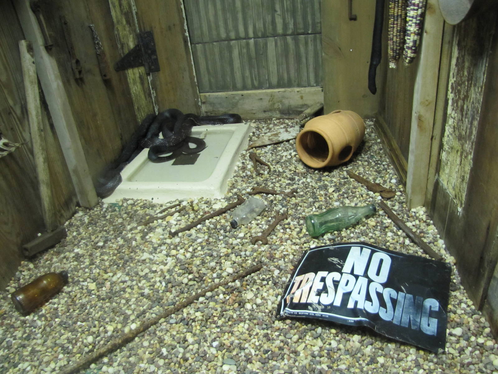 Creative Snake Enclosure