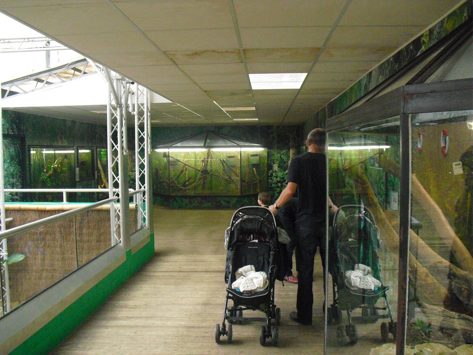 Creature Corner - 12/10/2011