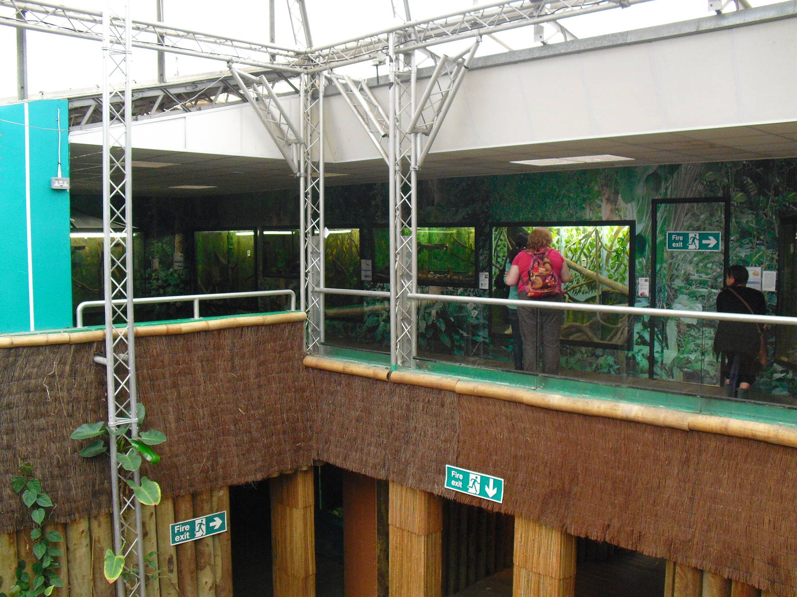 Creature Corner - 27/10/2011