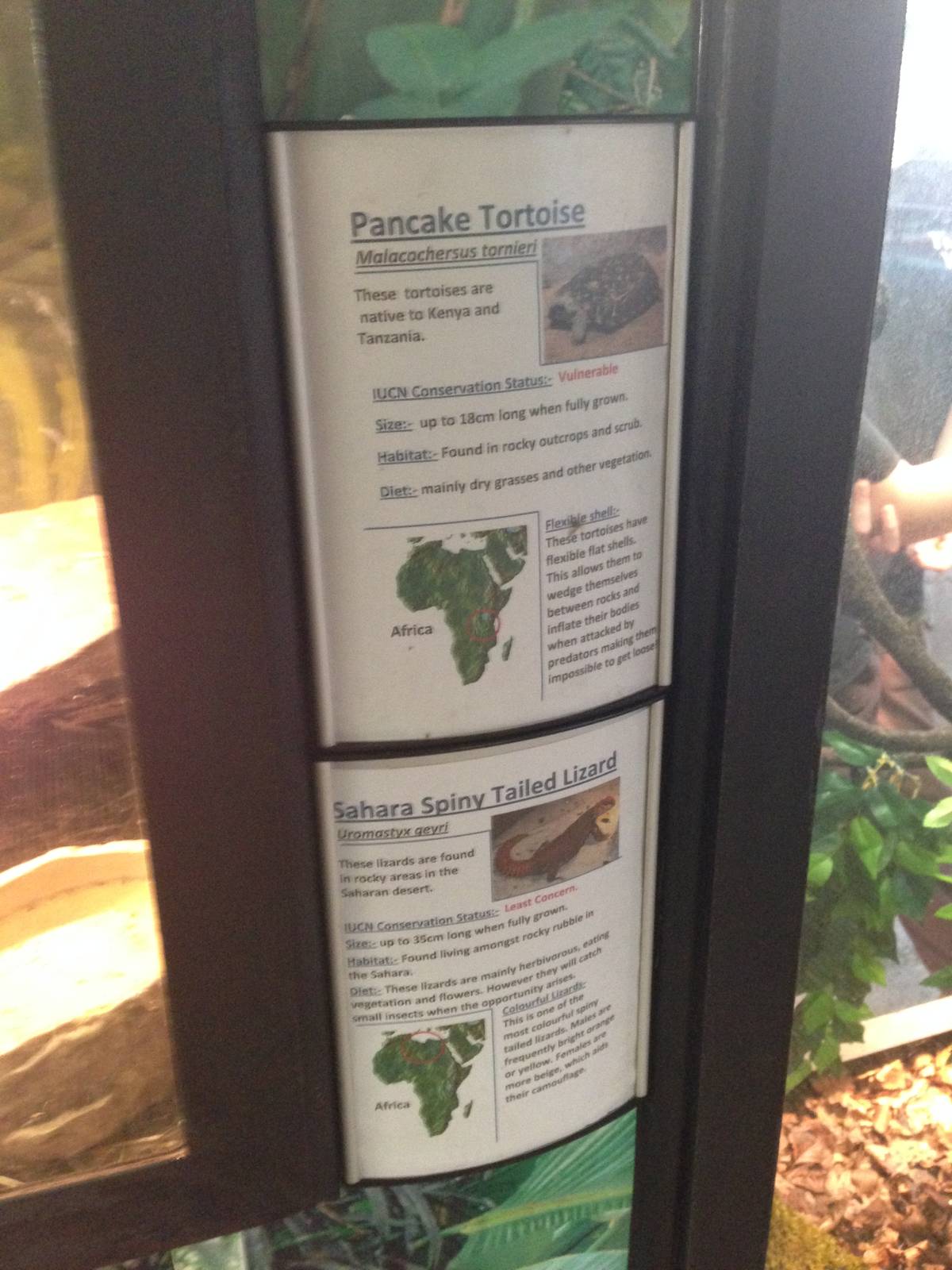 Creature Corner Signage Example at Tropical World - 02/10/2013