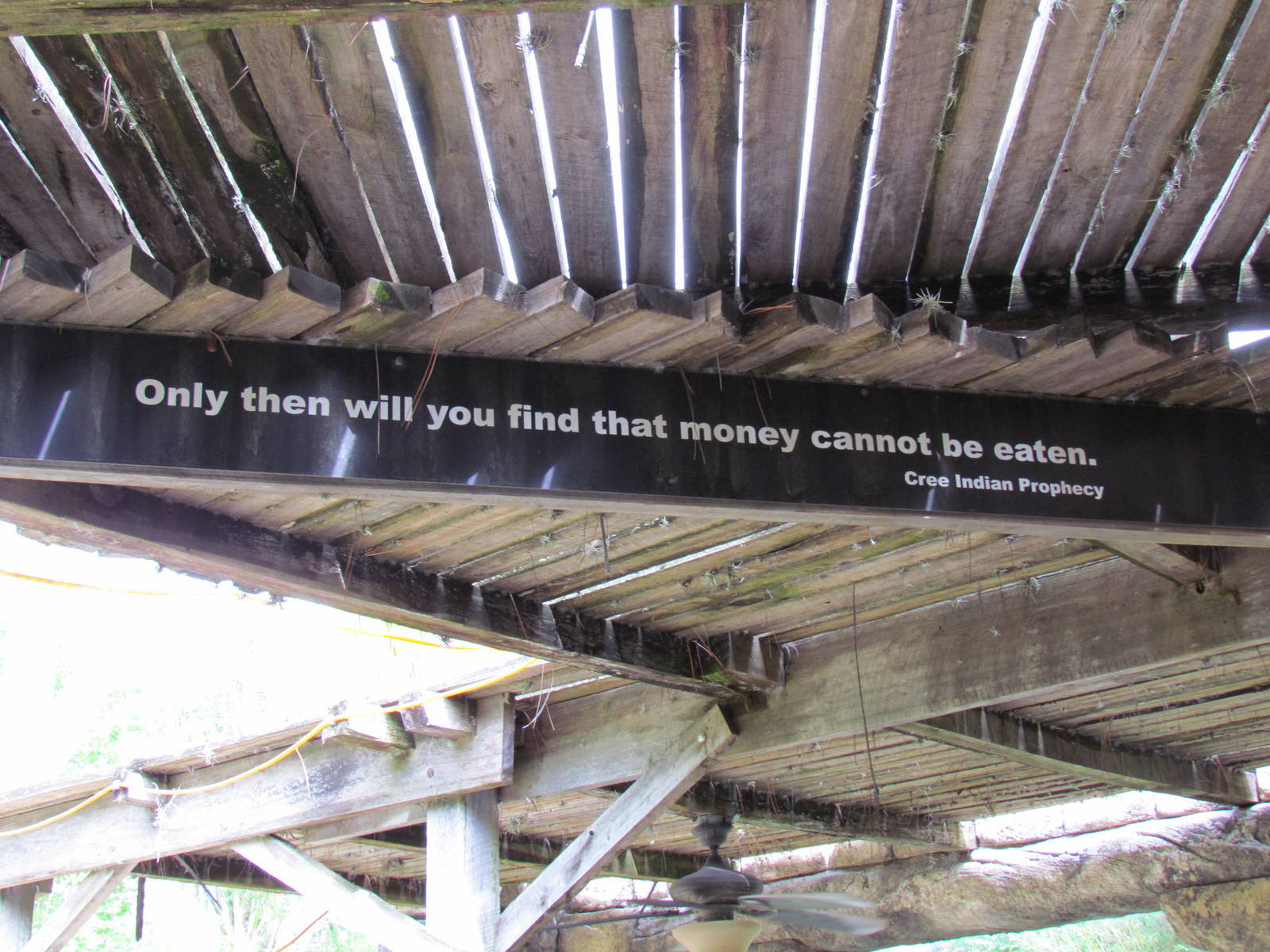 Cree Indian Prophecy