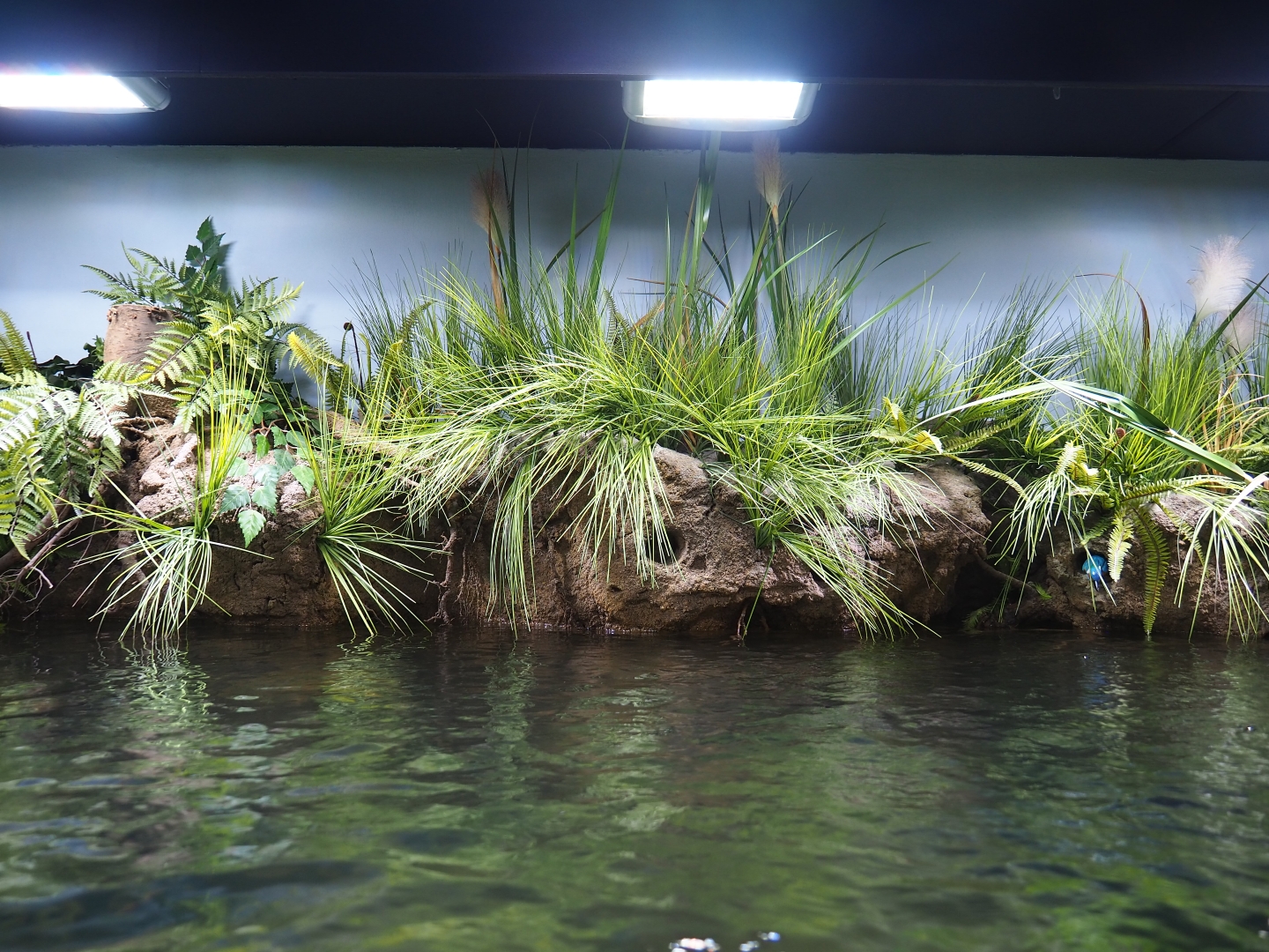 Creek bank scenery recreation (Oct 13th, 2018)