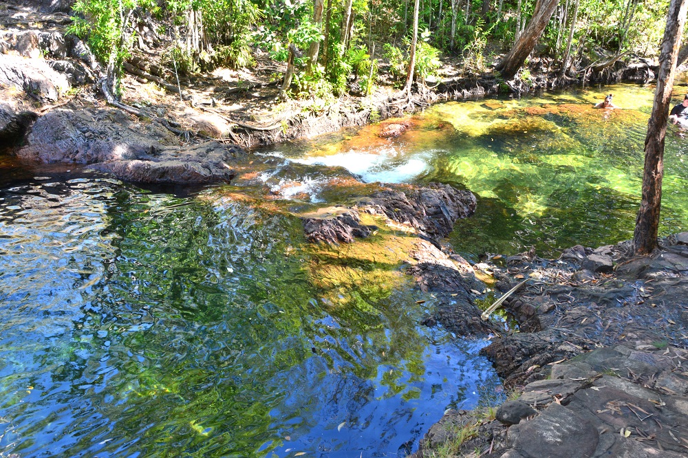 Creek.  Litchfield N/P.  NT