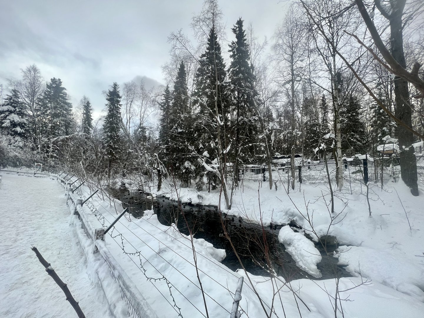 Creek through waterfowl exhibit