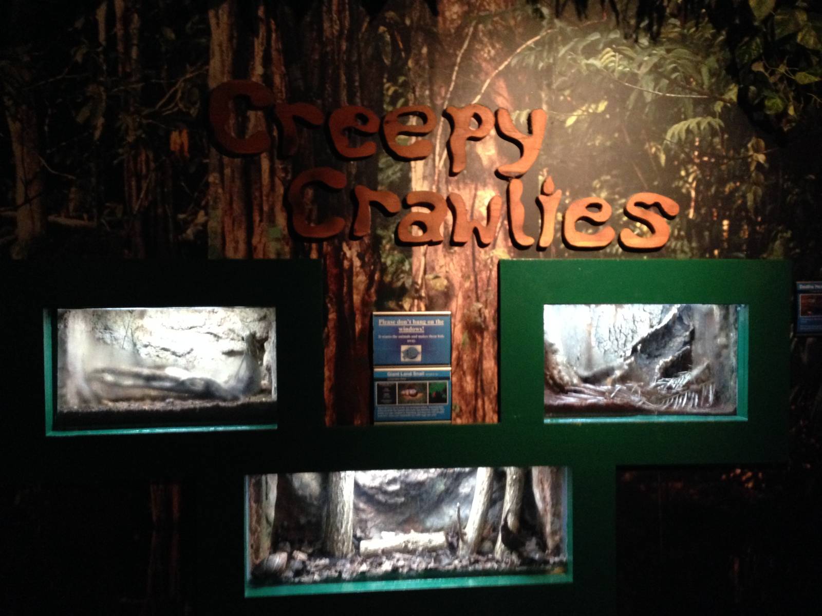 Creepy Crawlies at Blue Planet Aquarium - 05/10/2013