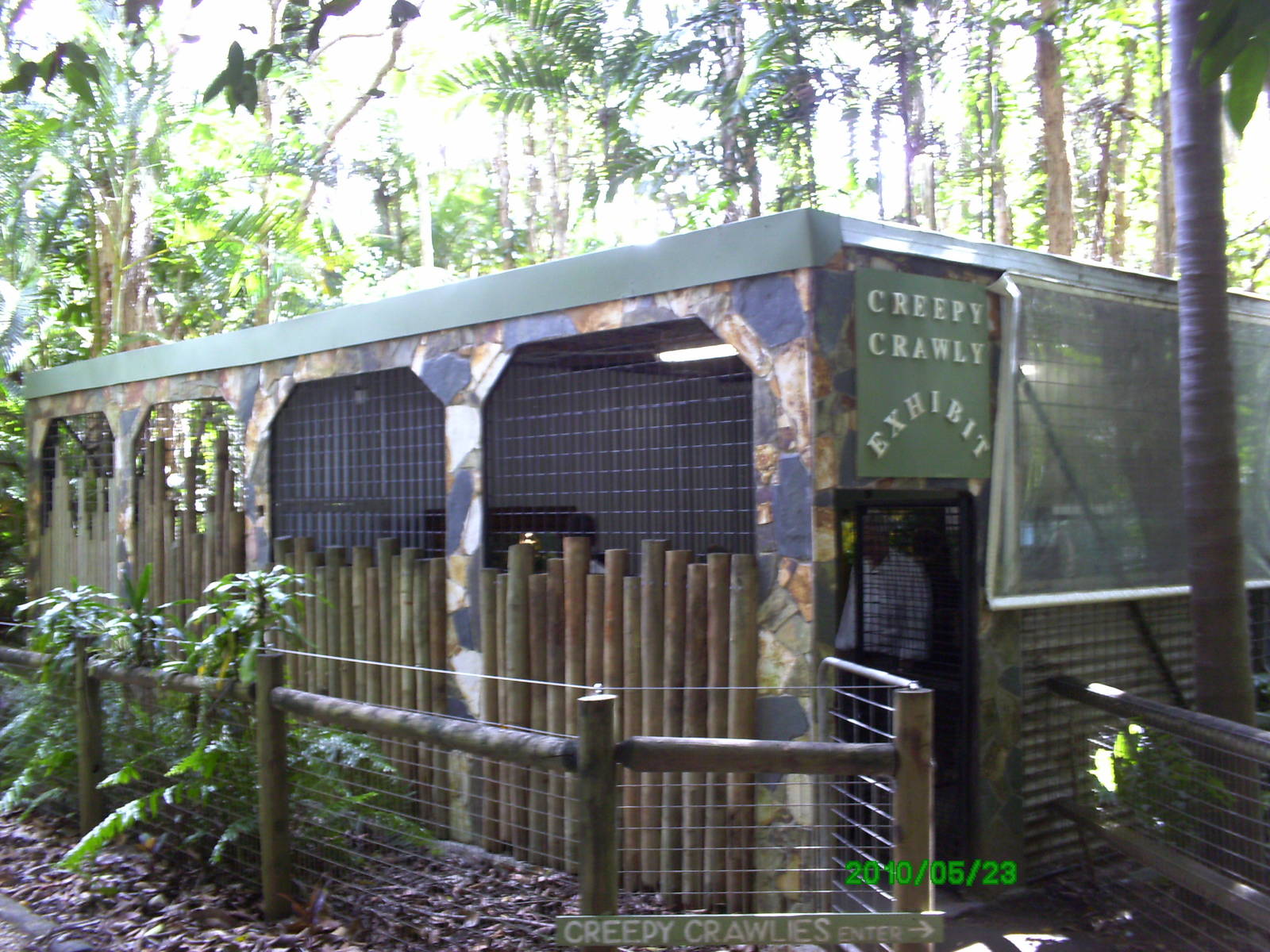 Creepy Crawly exhibit