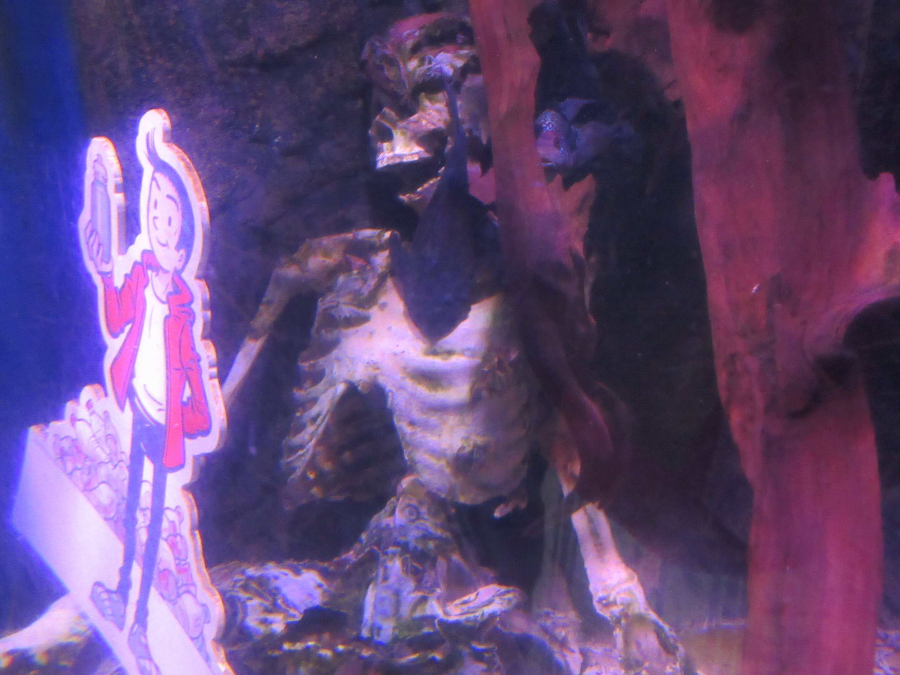 Creepy Fake Human Skeleton (in tank)