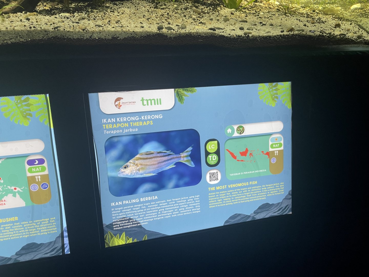 crescent grunter signage - dunia air tawar