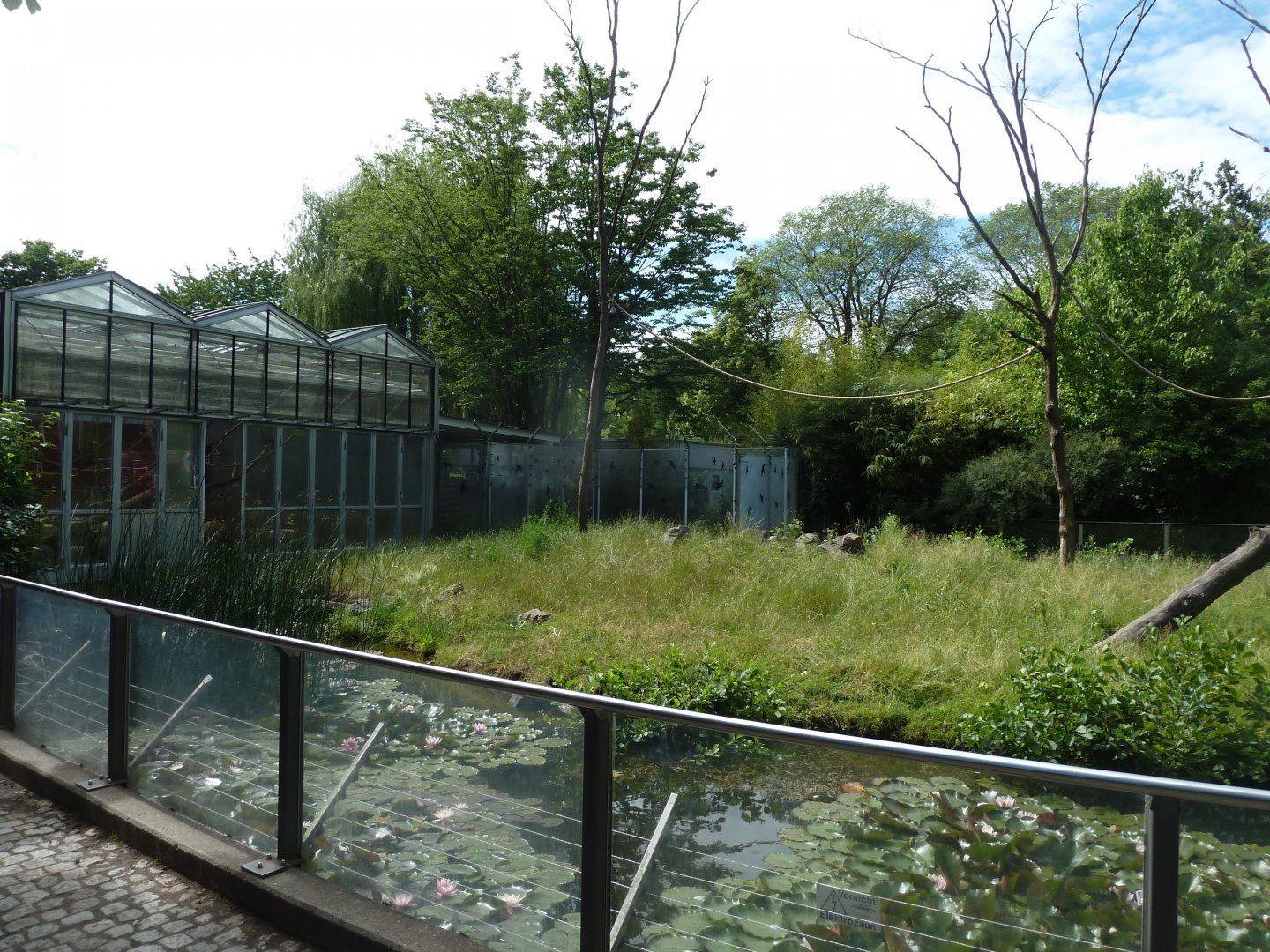 Crested Black Macaque island