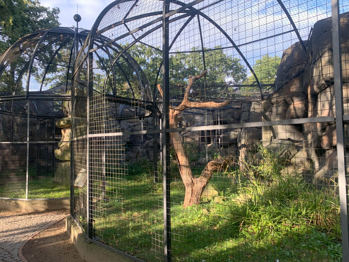 Crested Caracara aviary