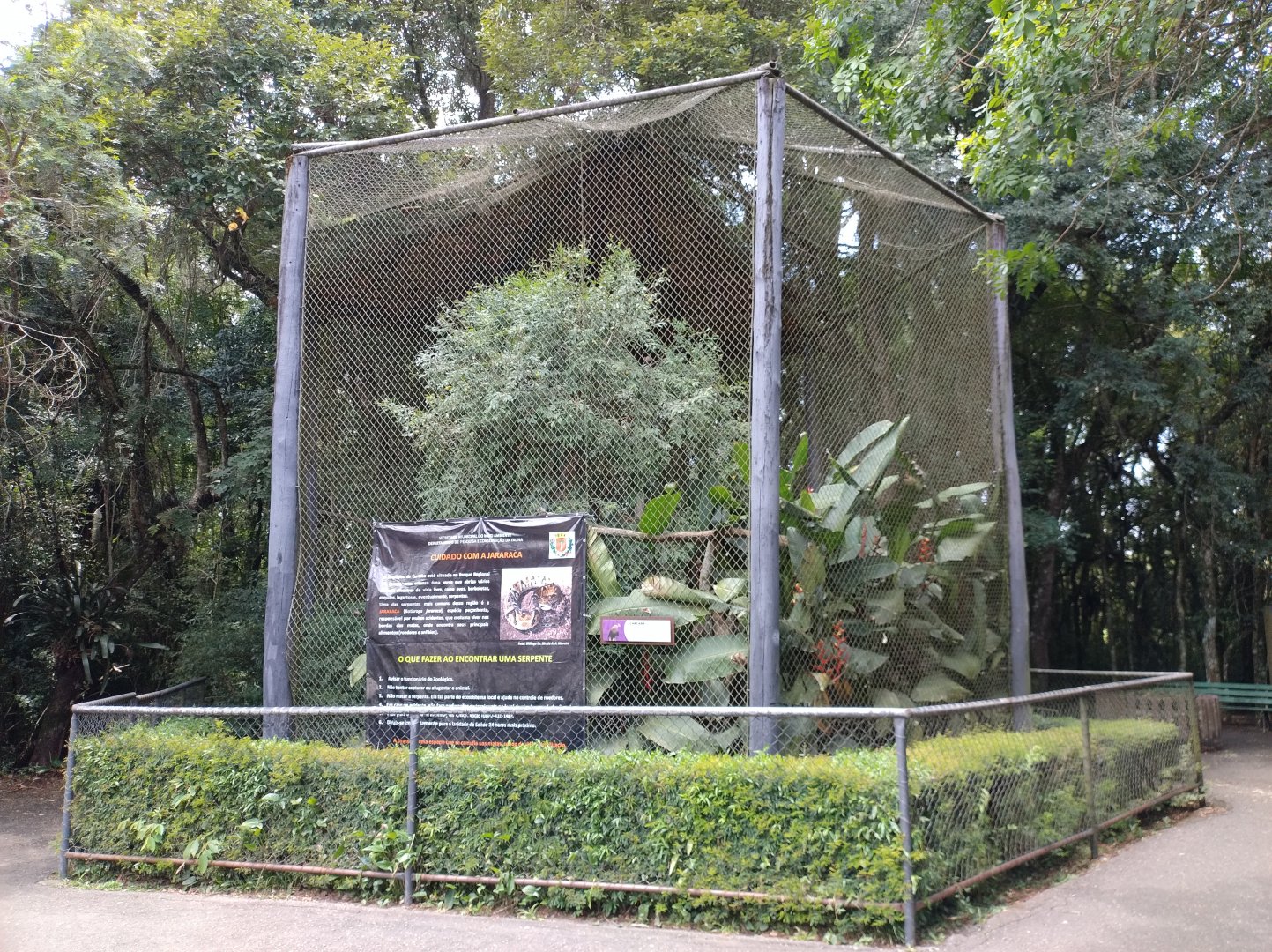 Crested caracara exhibit - Zoo Curitiba