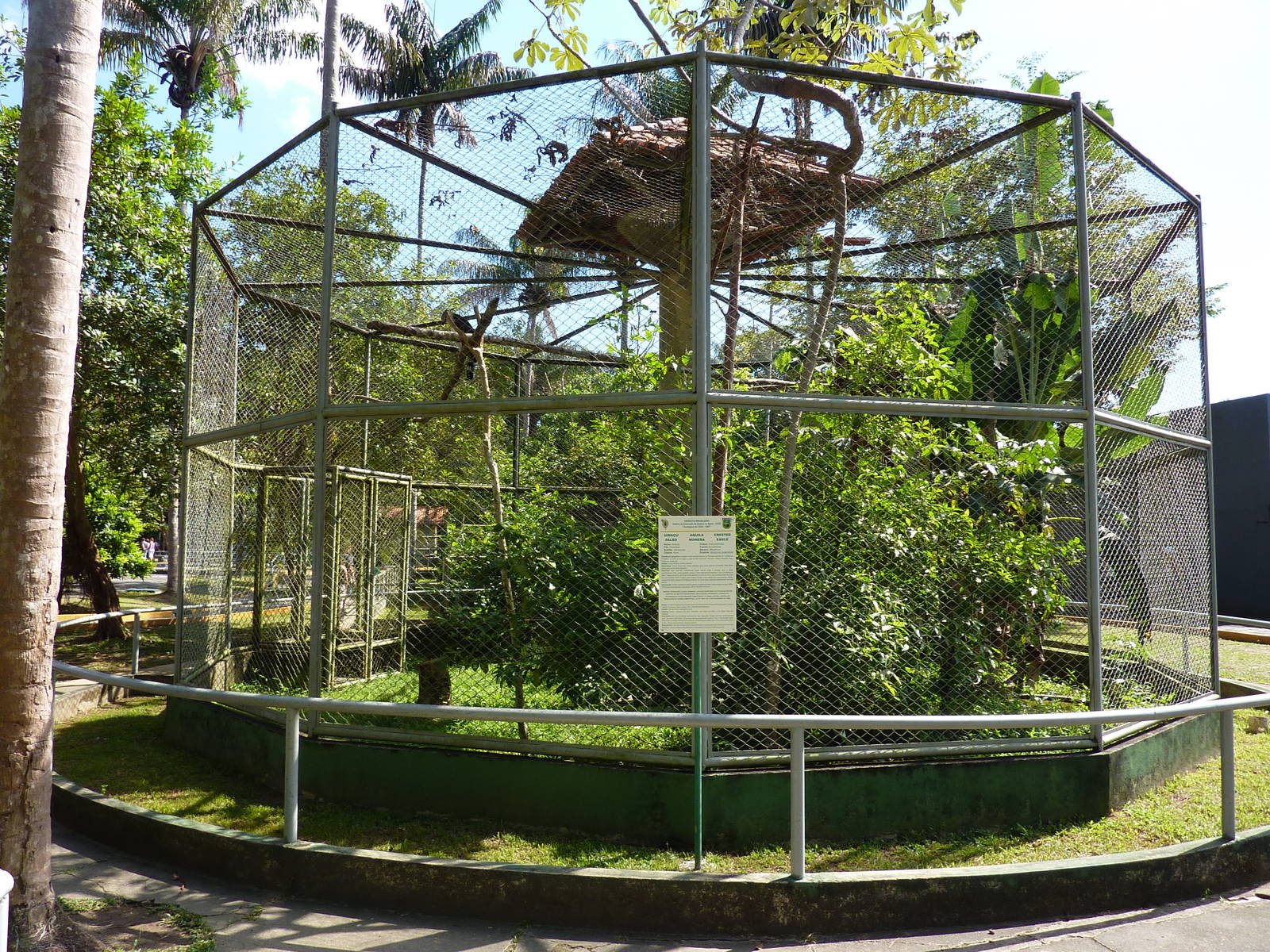 Crested eagle aviary