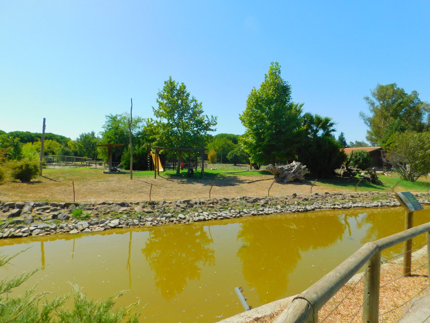 Crested Macaque Enclosure