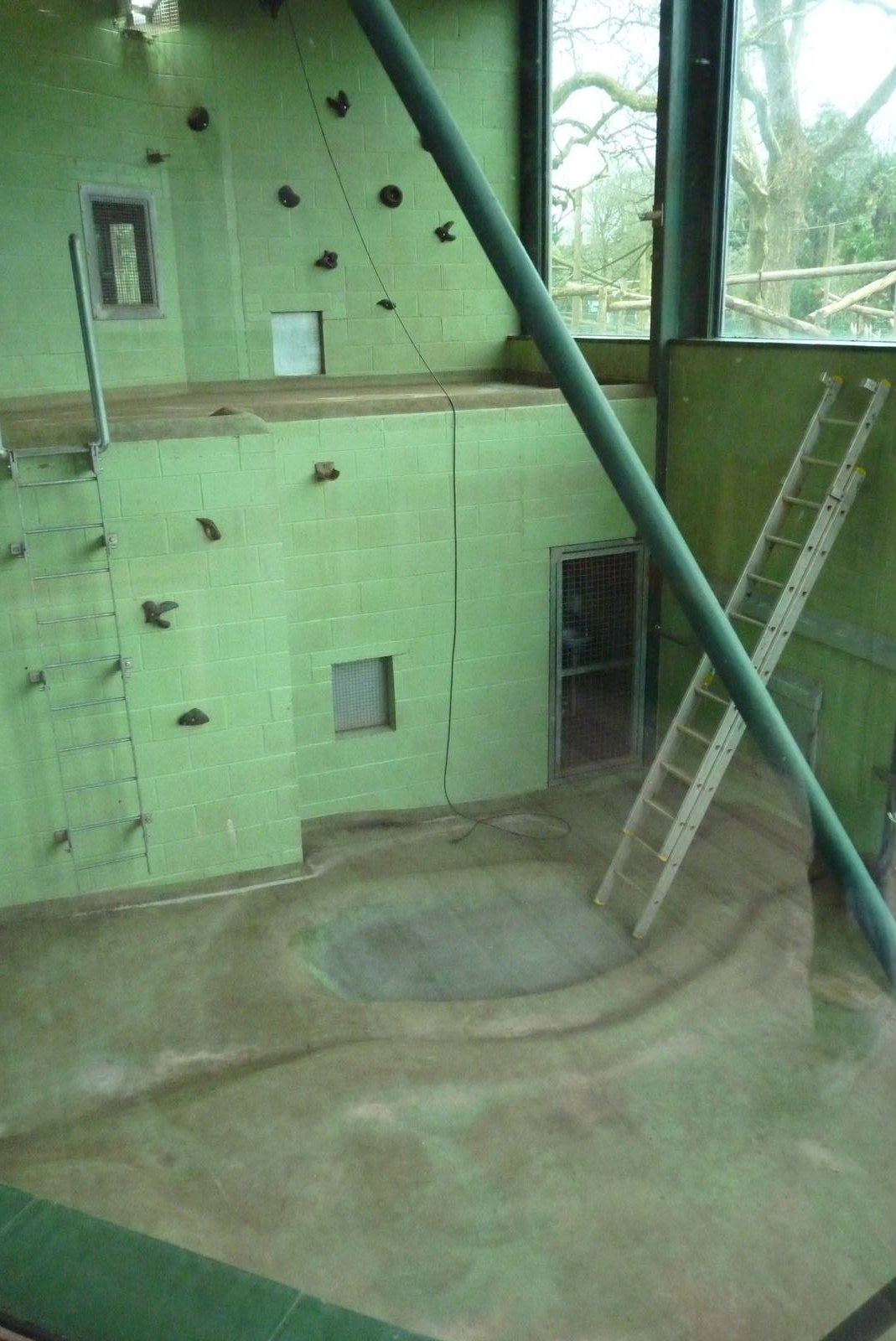 Crested Macaque House, February 2016