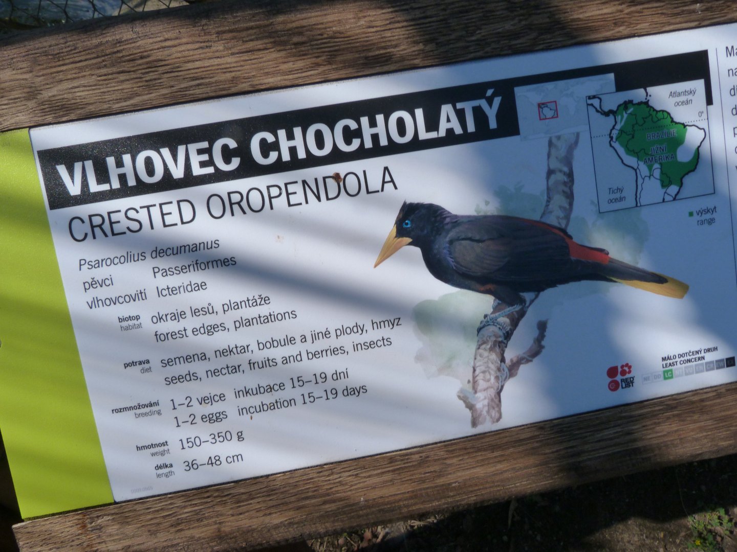 Crested oropendola sign -Zoo Praha (2025)