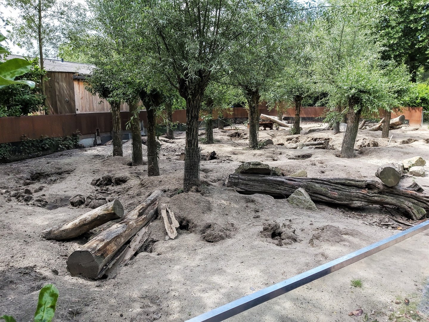 Crested porcupine and Banded mongoose enclosure