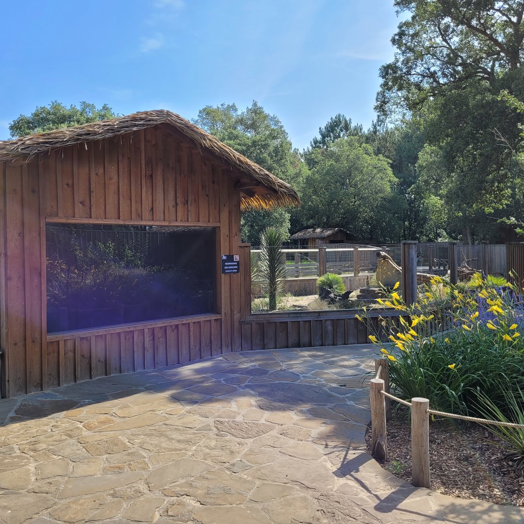 Crested porcupine and Meerkat house and exhibit -Zoo de Labenne (2023)