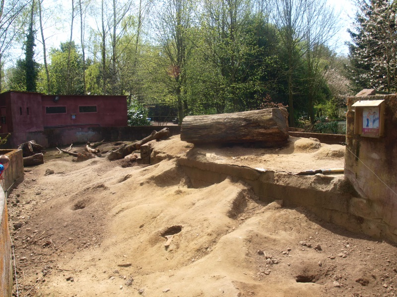 Crested porcupine and prairie dog exhibit (April 19th, 2015)