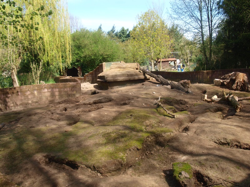 Crested porcupine and prairie dog exhibit (April 19th, 2015)