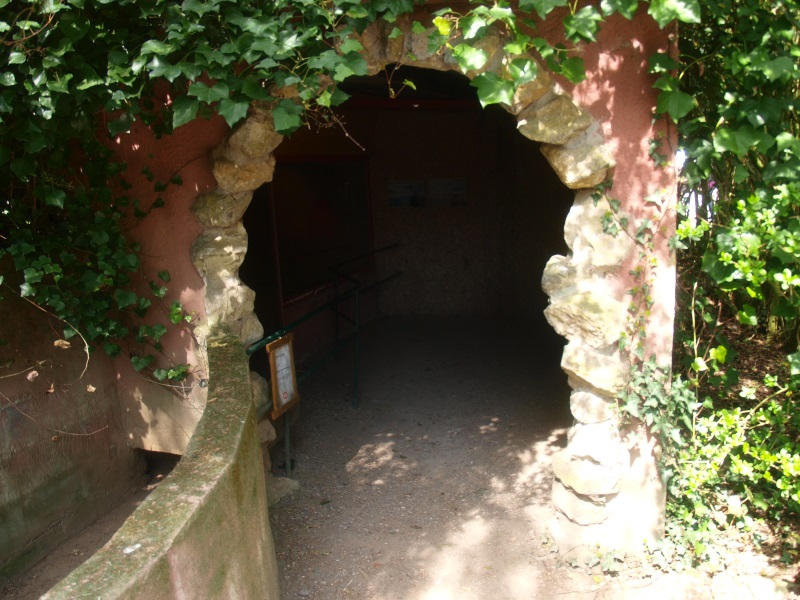 Crested porcupine building (April 19th, 2015)