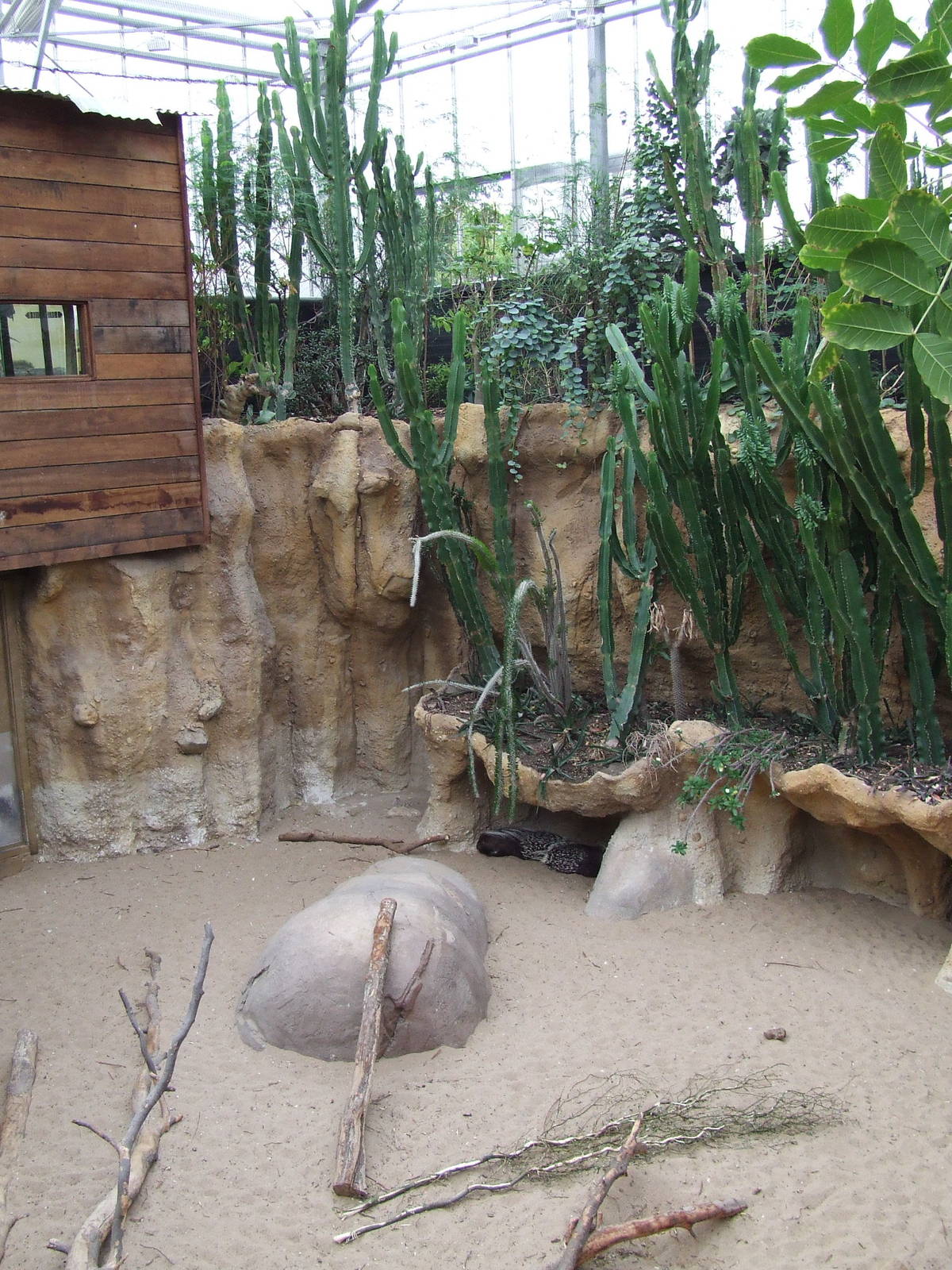 Crested Porcupine enclosure, Crocodile River