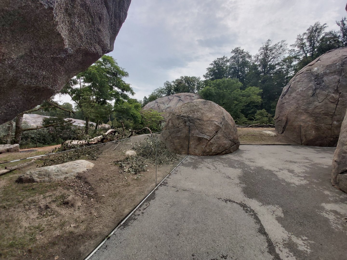 Crested porcupine enclosure - Lewa savanna