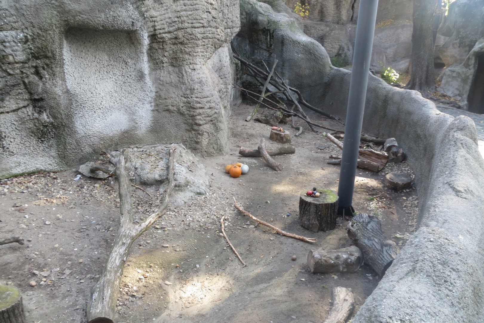 Crested porcupine enclosure within Little Rock walkthrough aviary 171018