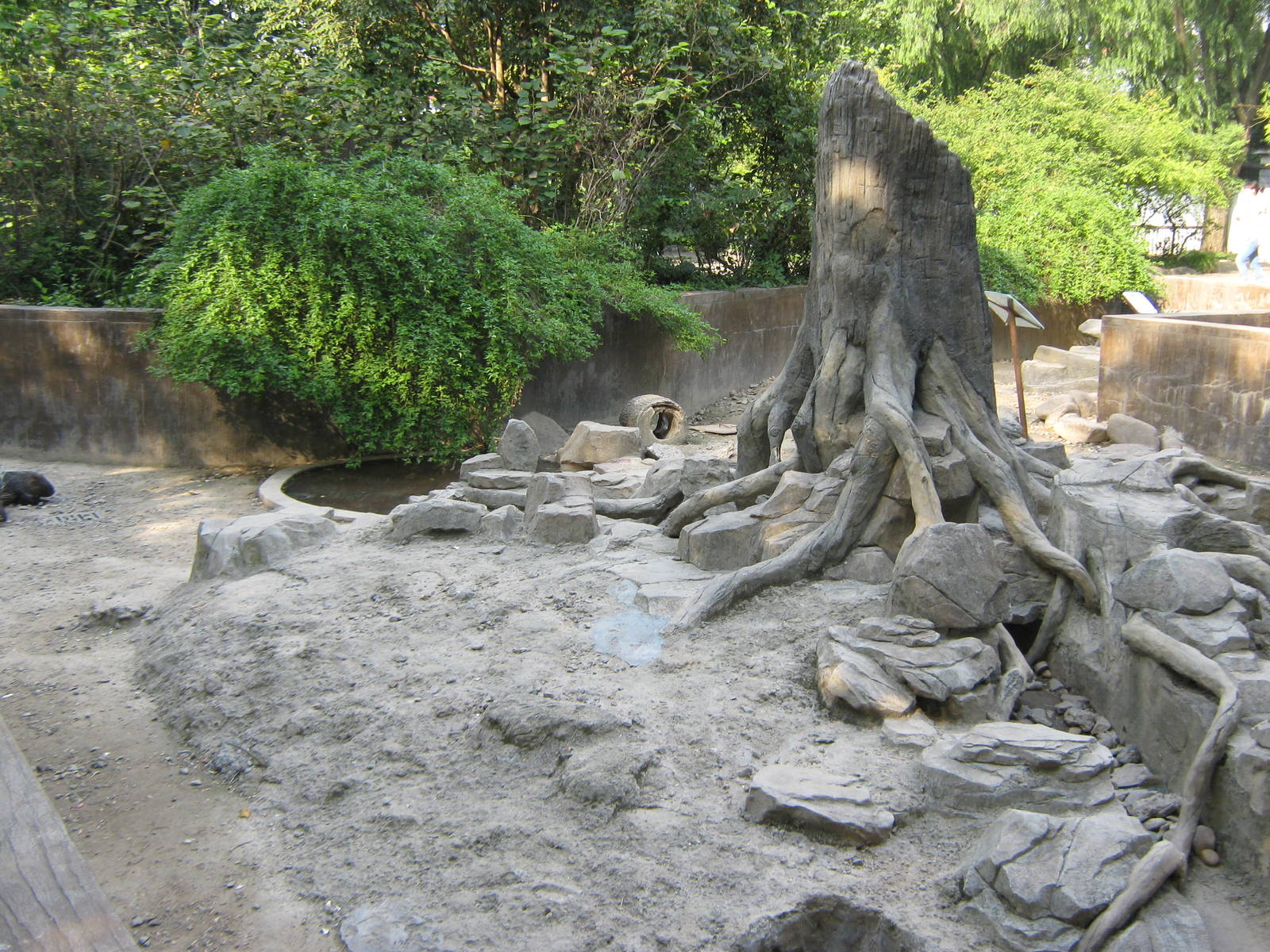 crested porcupine enclosure