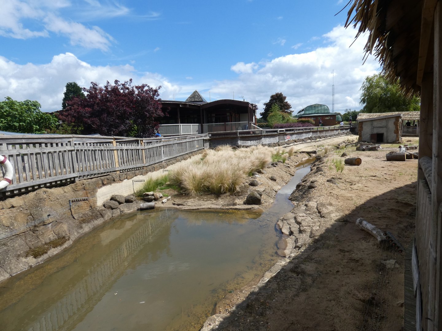 Crested Porcupine enclosure