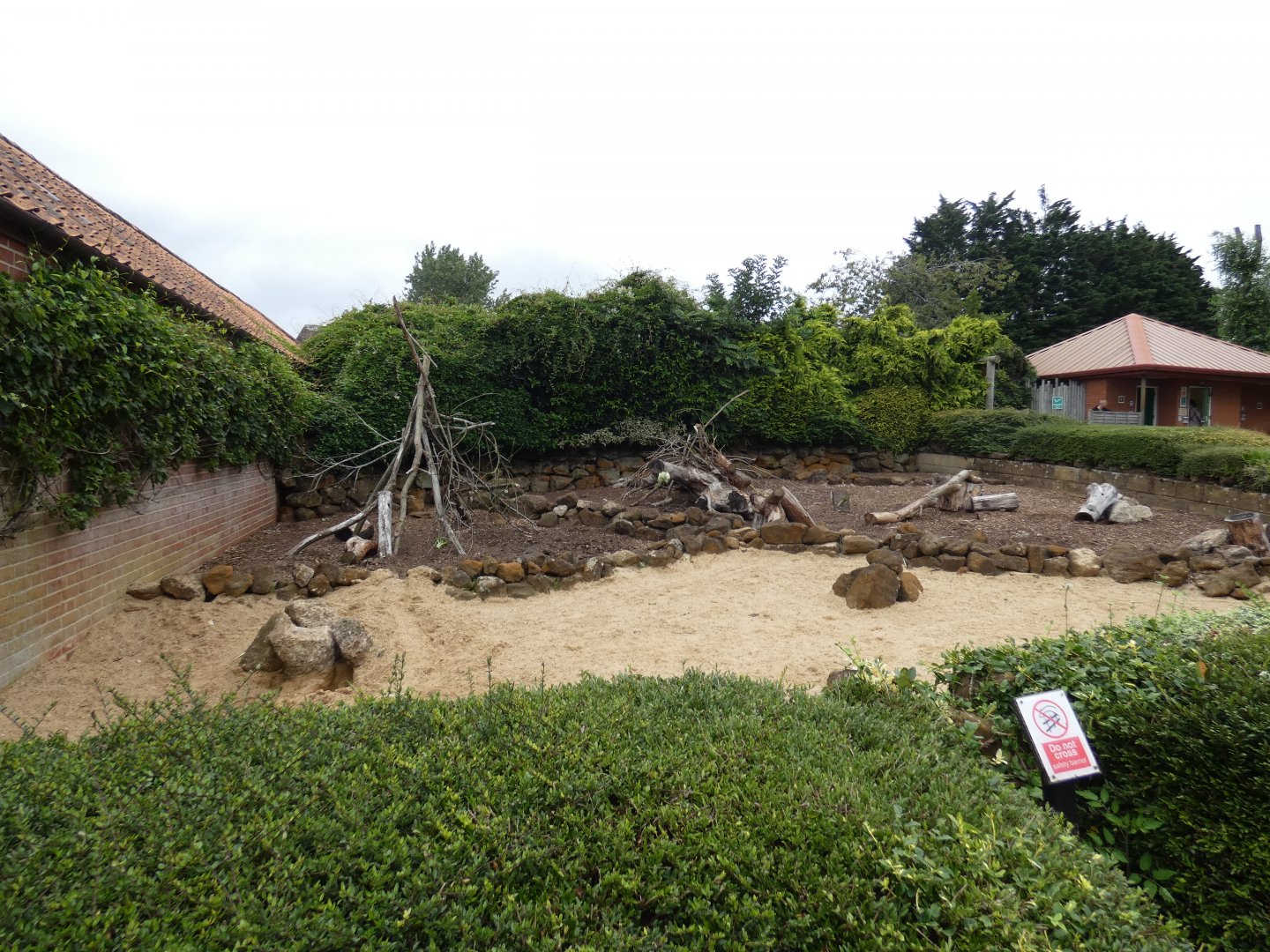 Crested porcupine enclosure