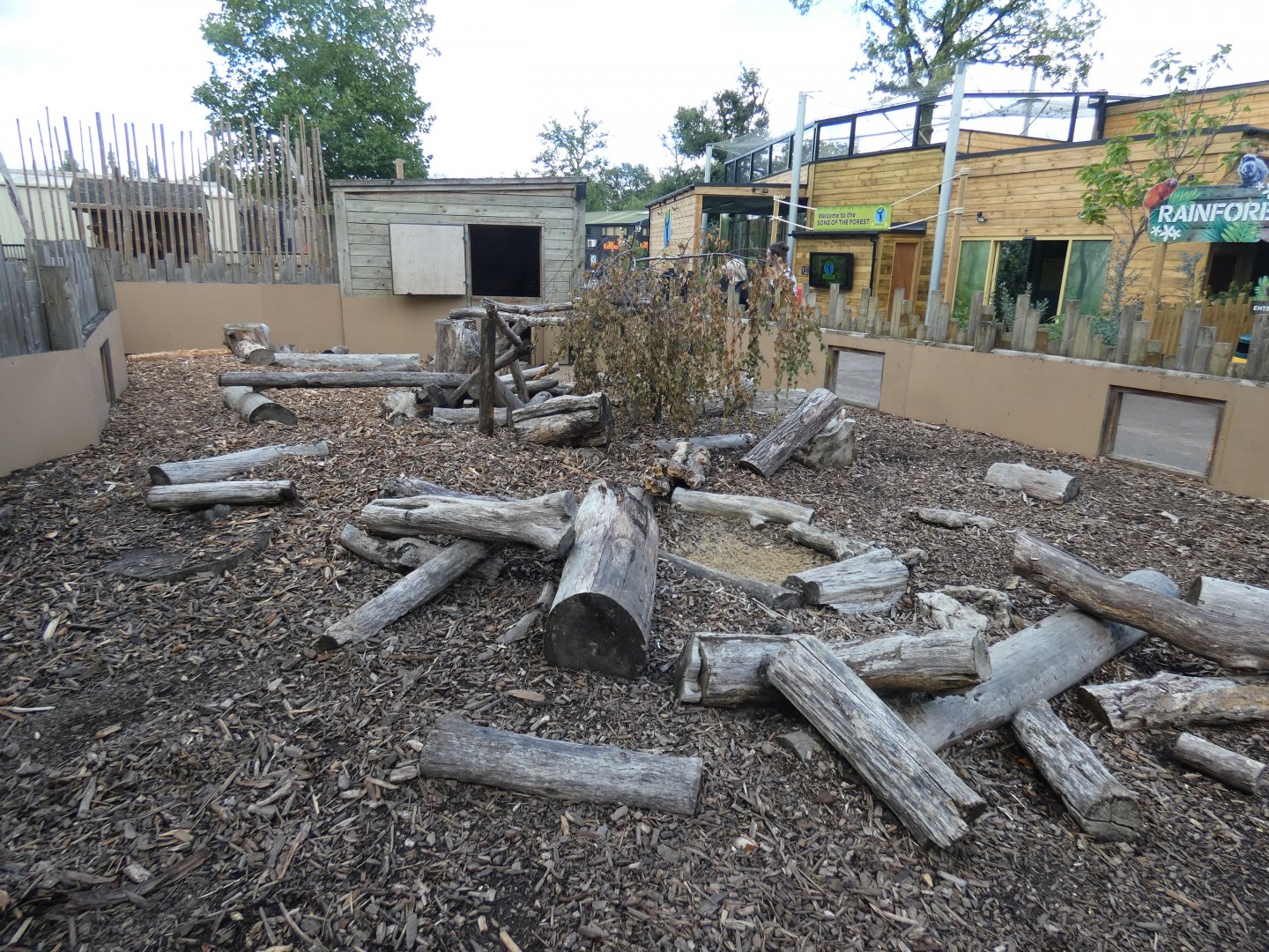 Crested porcupine enclosure