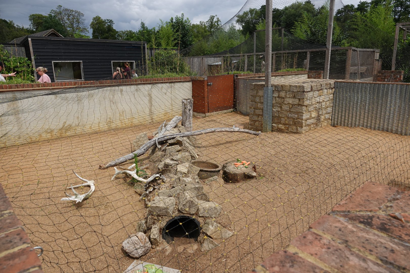Crested porcupine enclosure