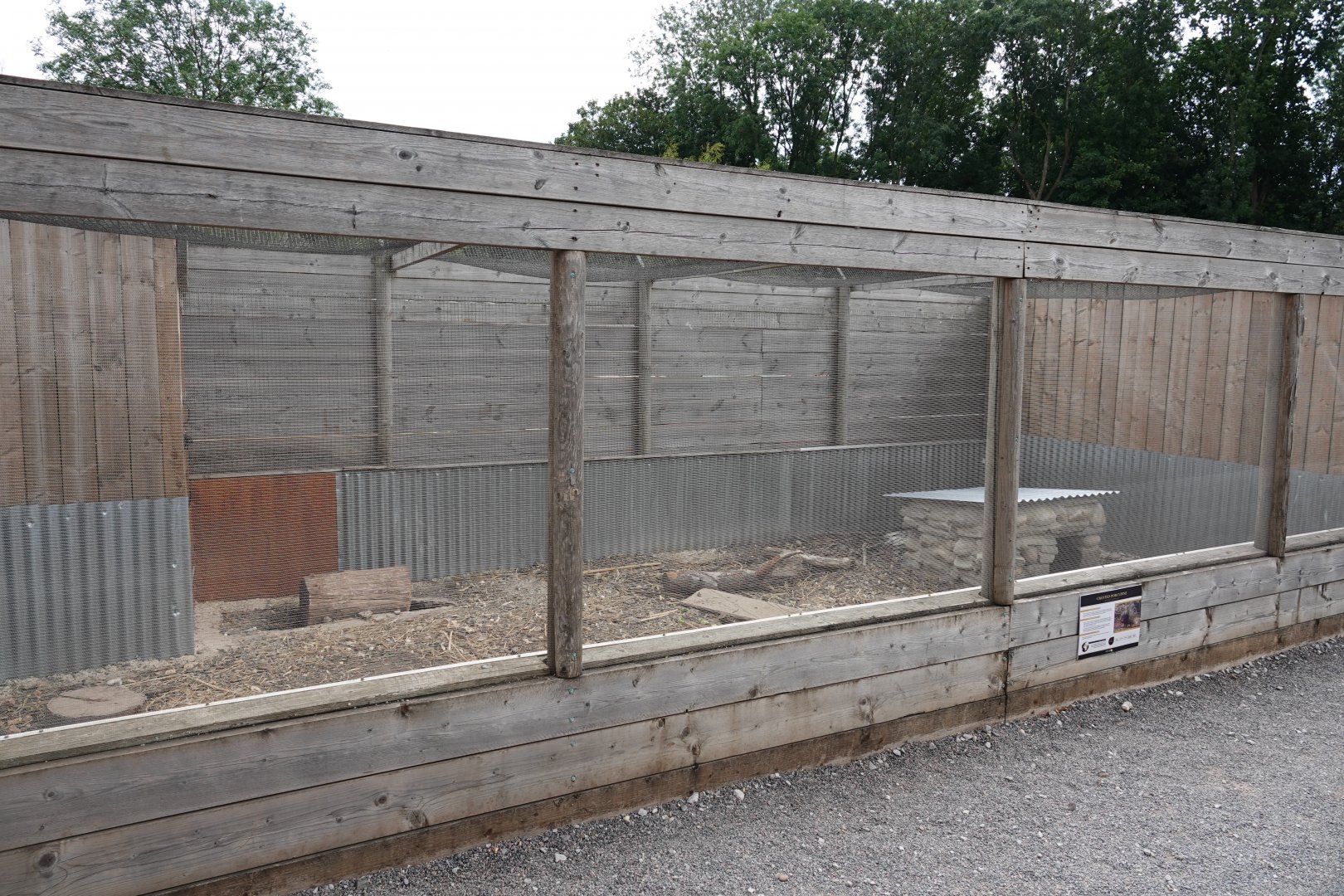 Crested porcupine enclosure