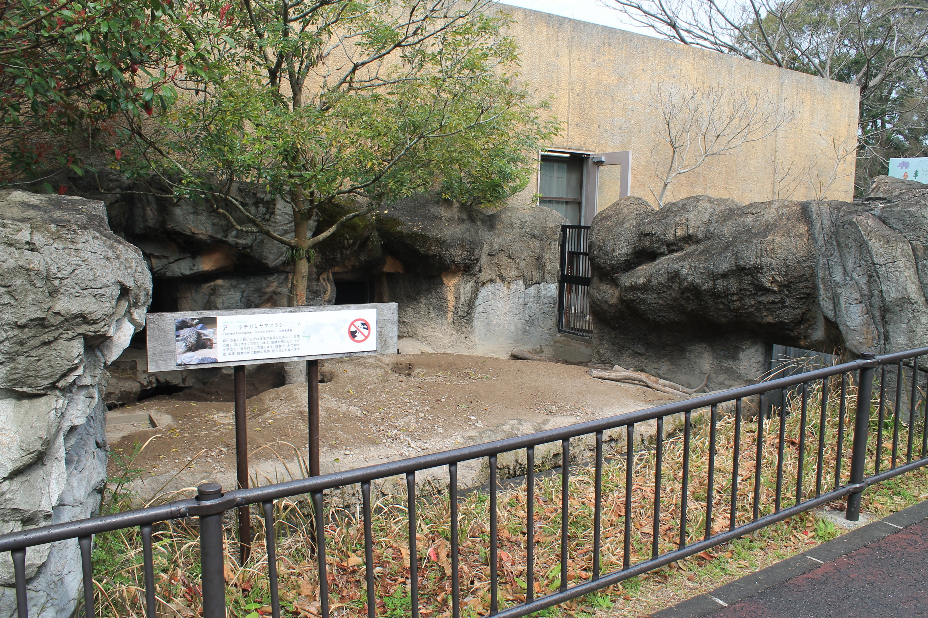 Crested Porcupine enclosures - Hirakawa Zoo (Kagoshima)