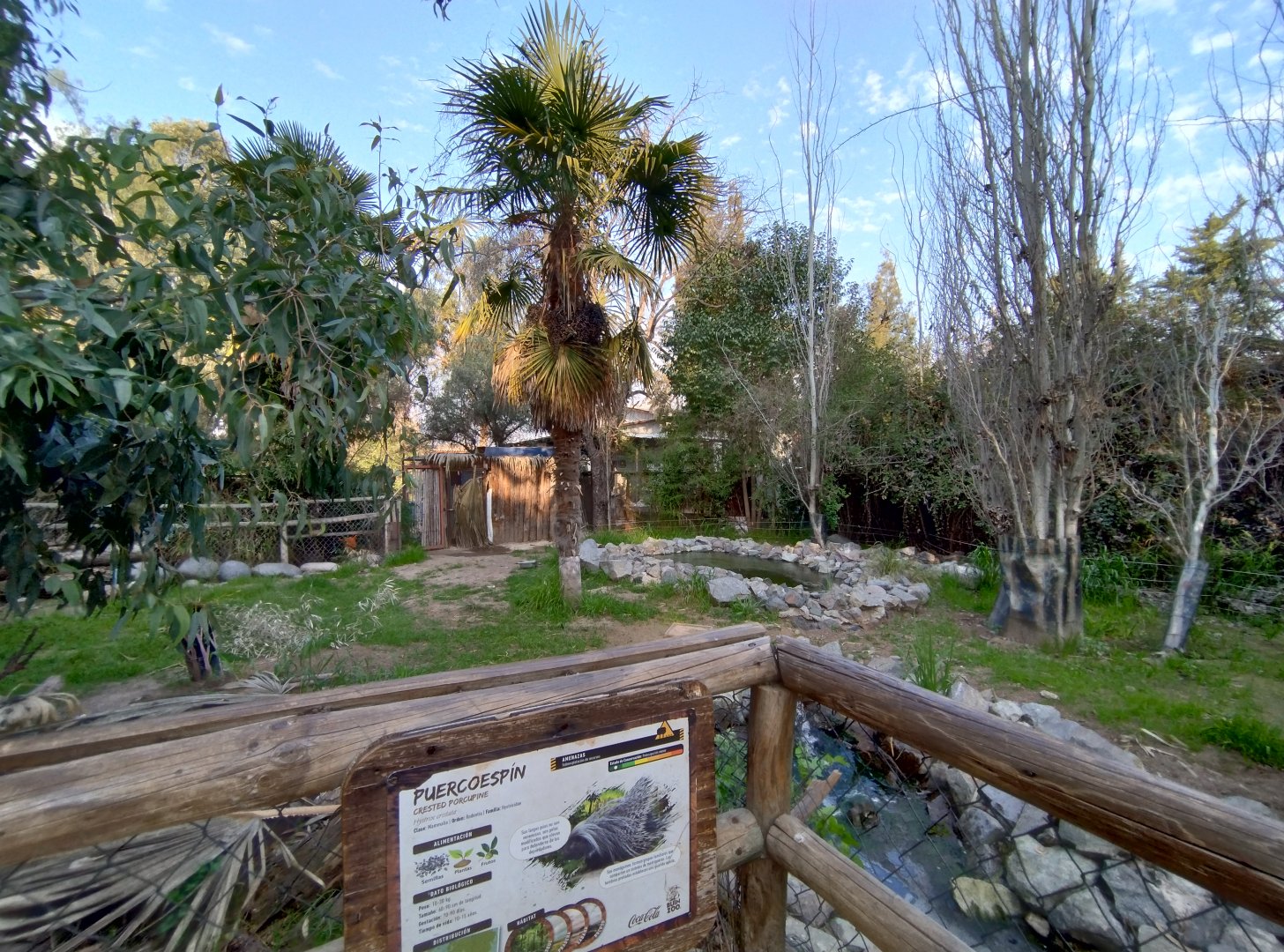 Crested porcupine exhibit - Buin zoo