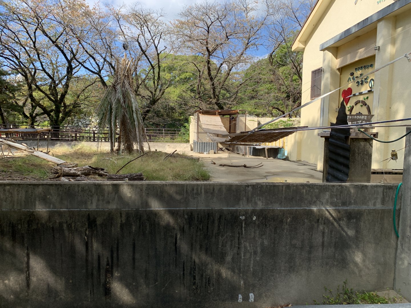 Crested Porcupine Exhibit (Himeji City Zoo)
