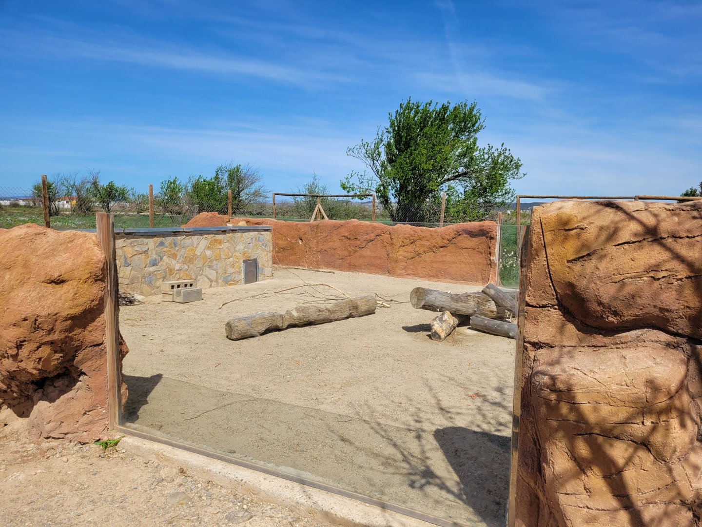 Crested porcupine exhibit -Tierra Rapaz (2024)