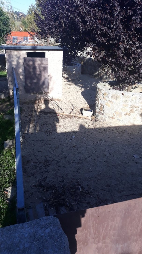 Crested porcupine exhibit