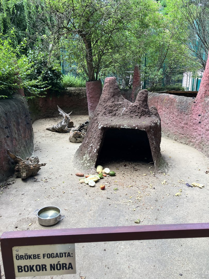Crested porcupine exhibit.