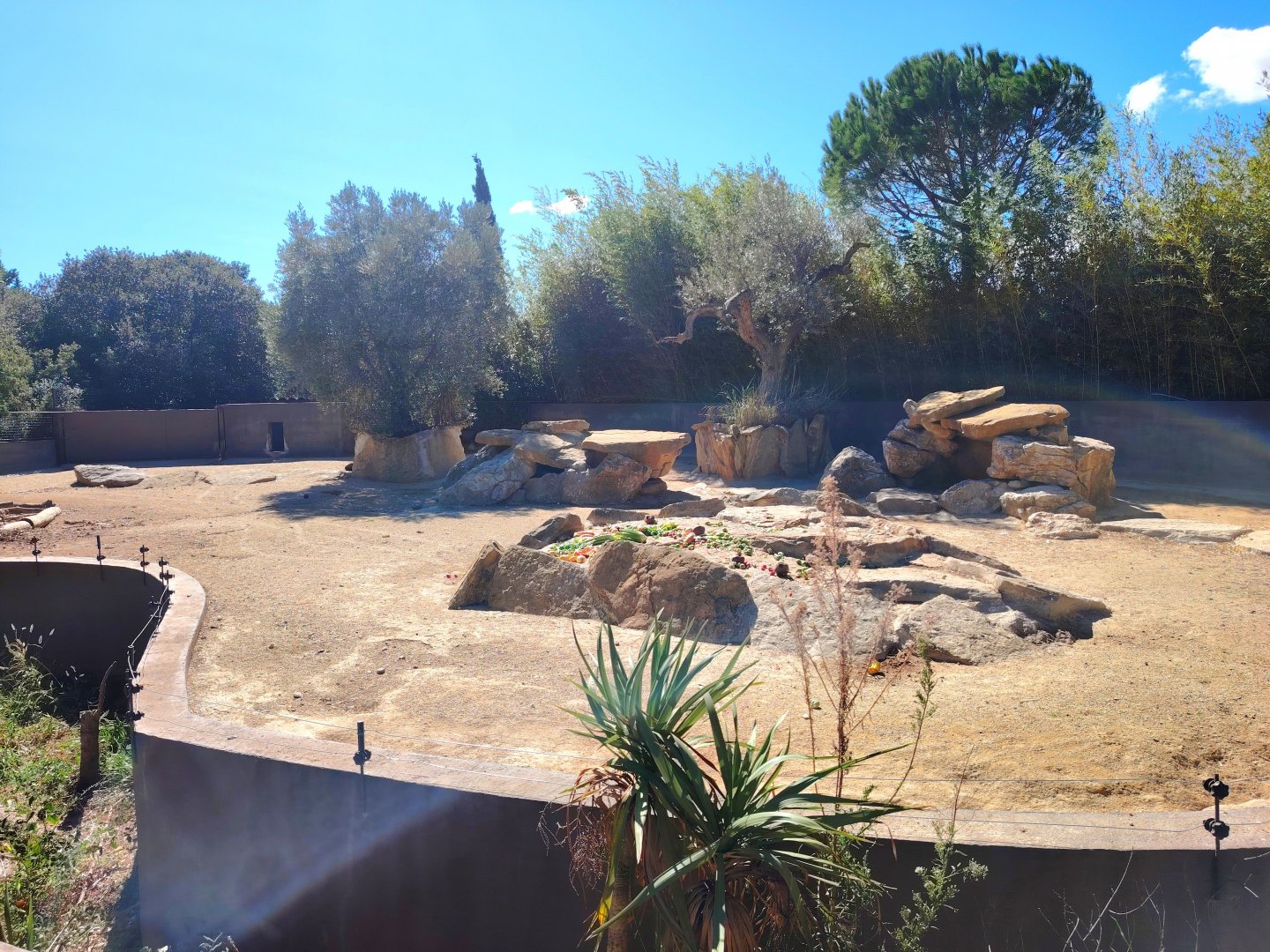 Crested Porcupine Exhibit