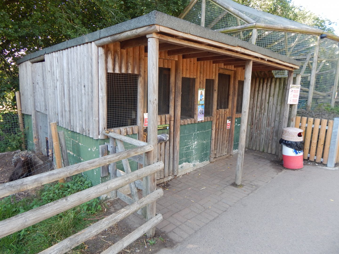 Crested porcupine habitat 030924