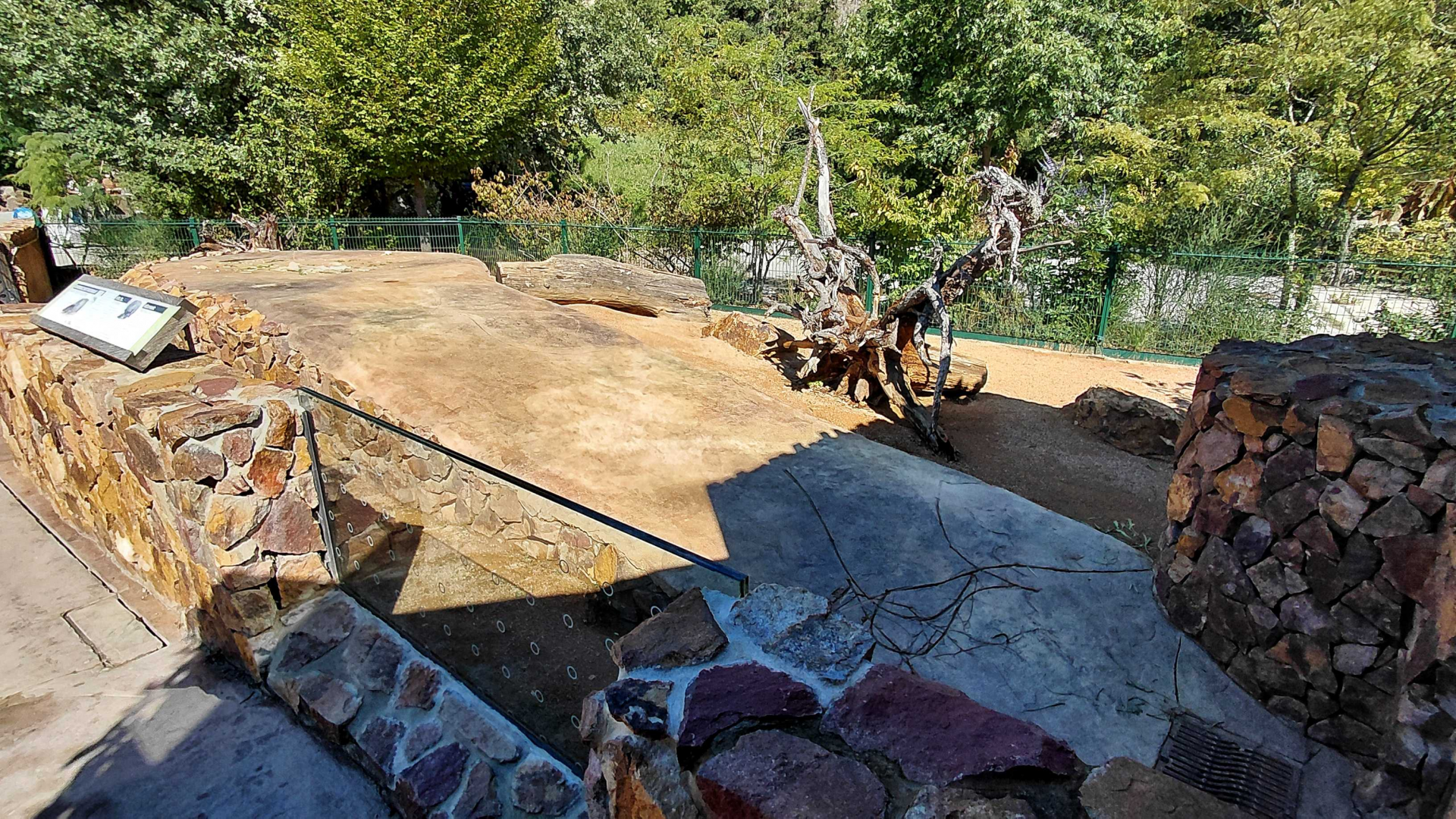 Crested porcupine outdoor exhibit