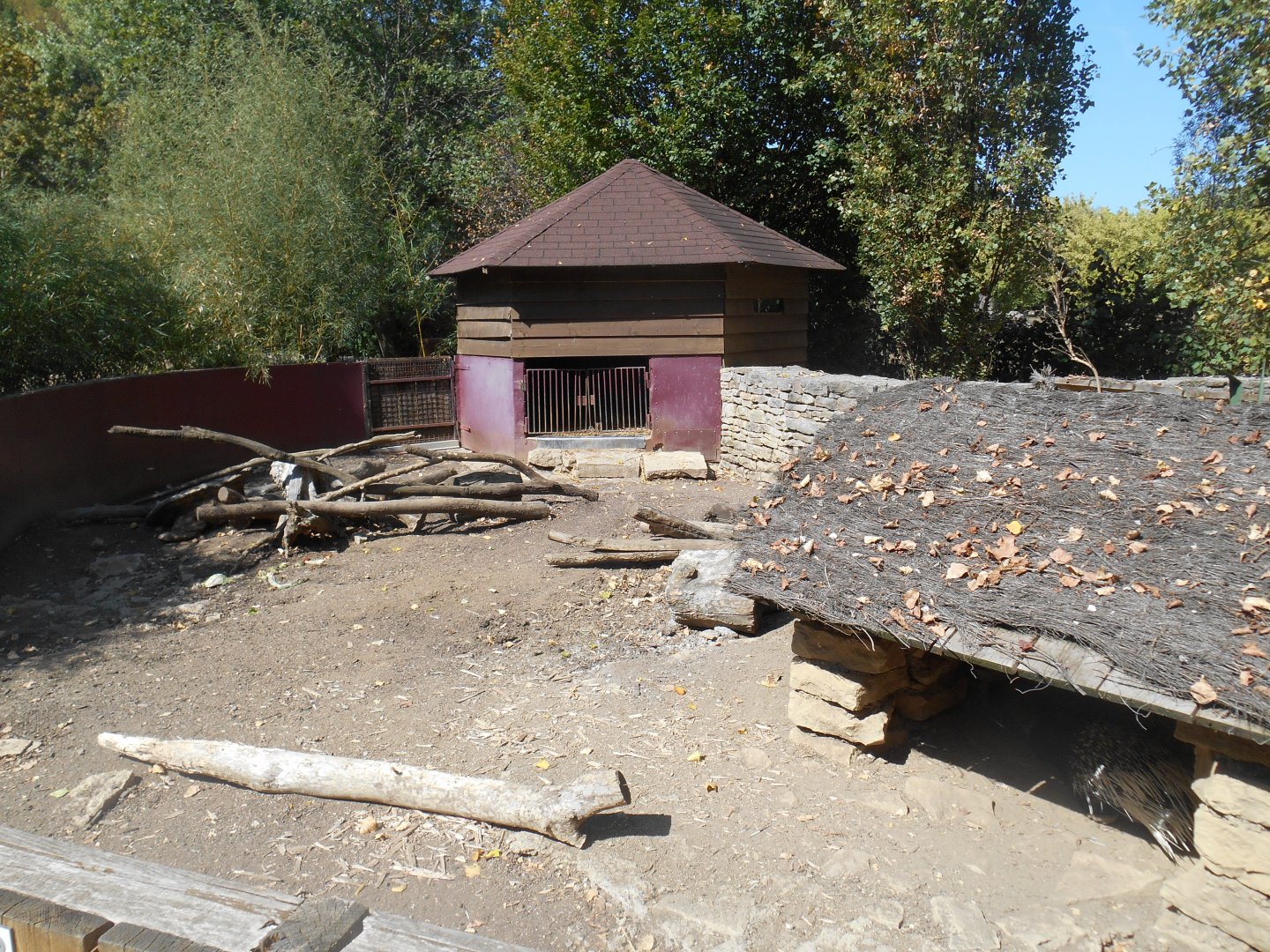 Crested Porcupines Exhibit