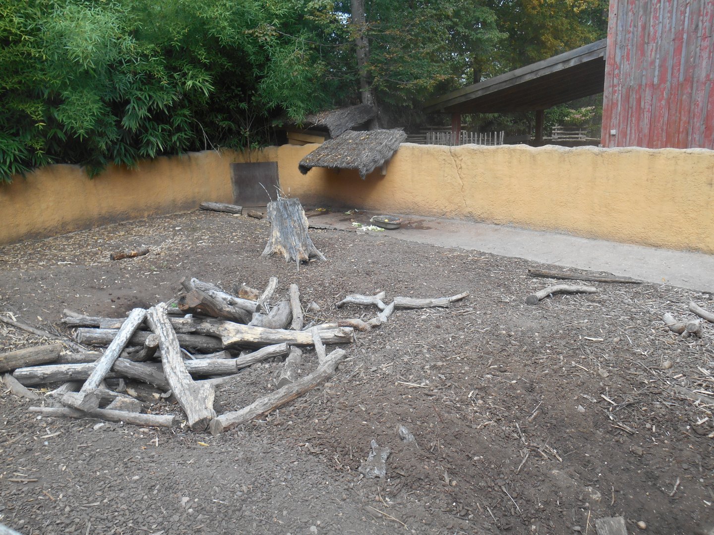 Crested Porcupines Exhibit