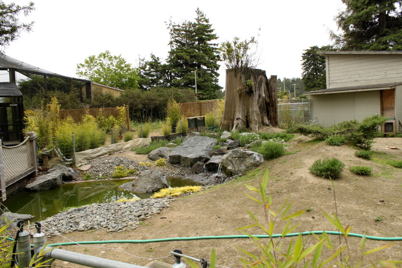 Crested Screamer and Patagonian Cavy Exhibit