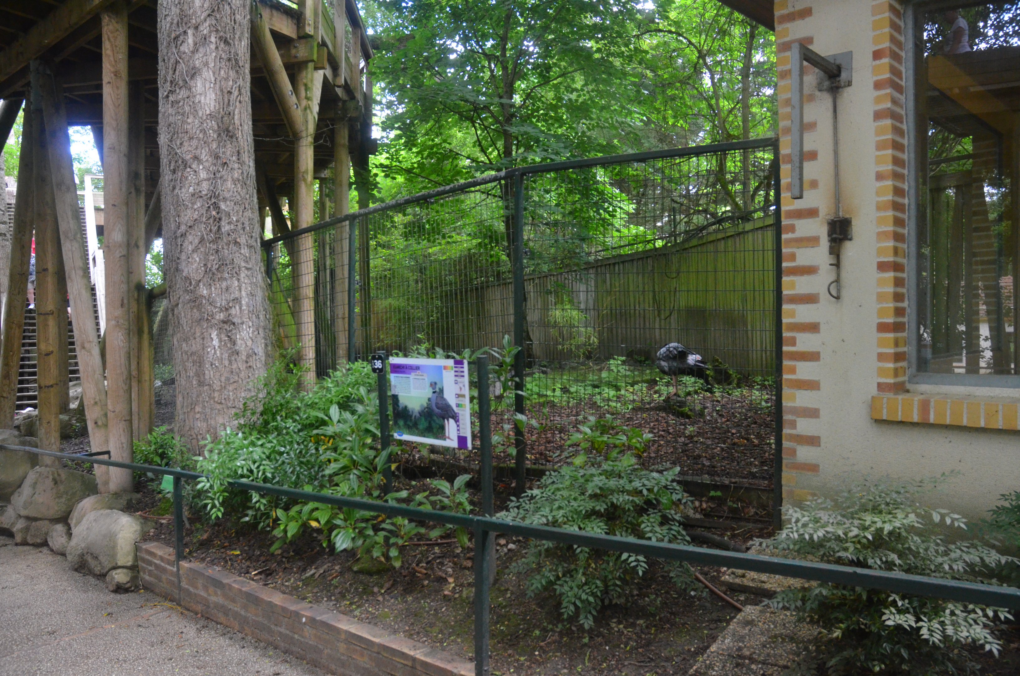 Crested Screamer Enclosure at Beauval, 12/06/18